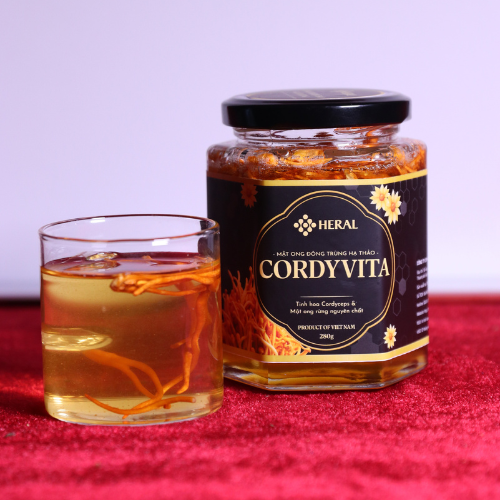 CordyVita - Mật ong Đông trùng hạ thảo