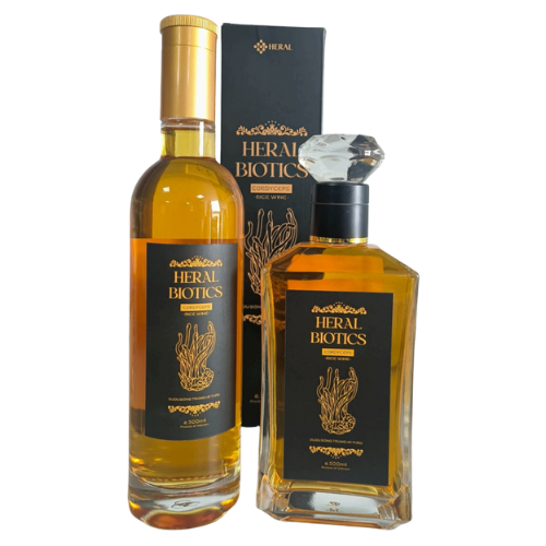 Rượu Đông trùng hạ thảo - NHẬT DƯƠNG