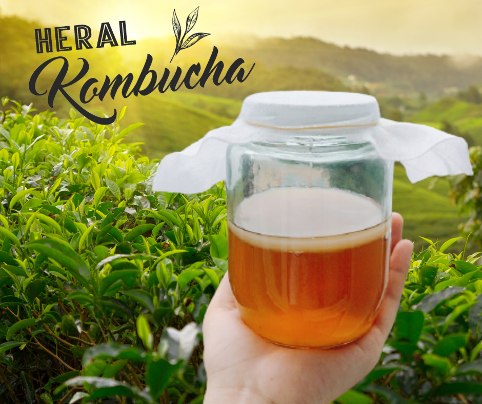 kombucha
