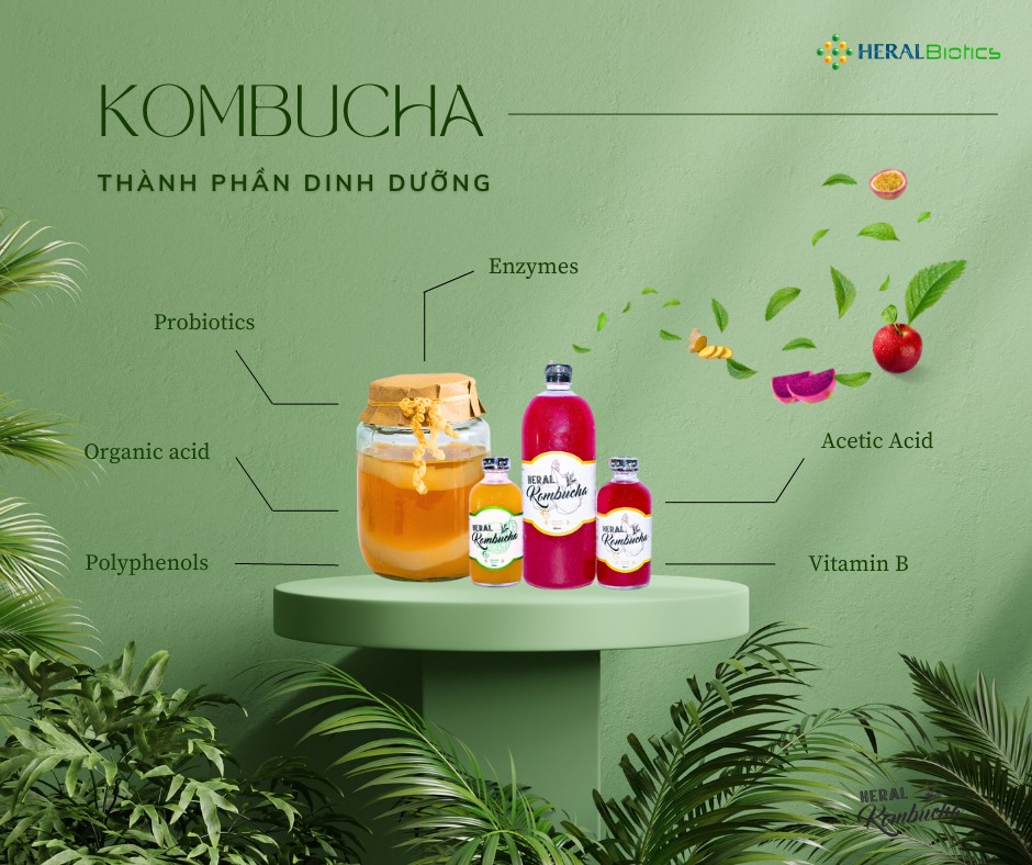 cách sử dụng Kombucha 