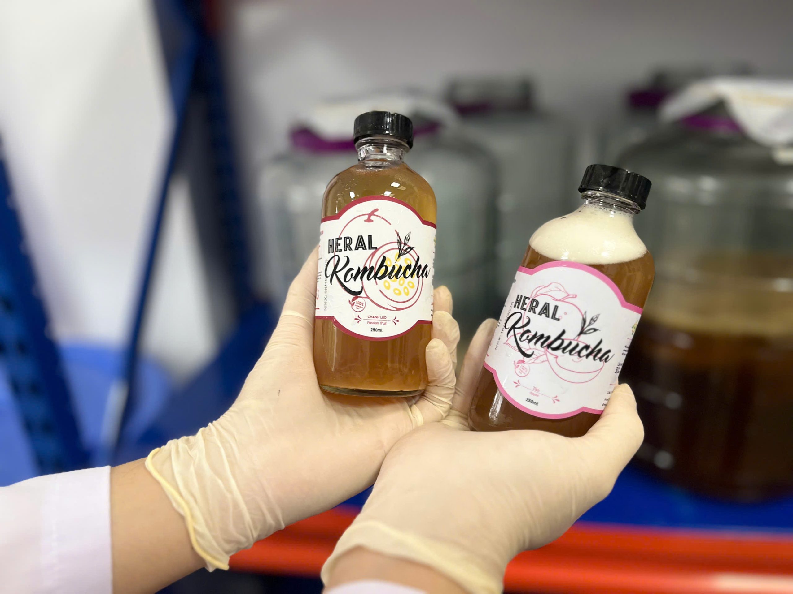 cách bảo quản kombucha